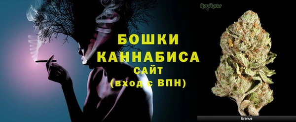 прущие грибы Бабаево
