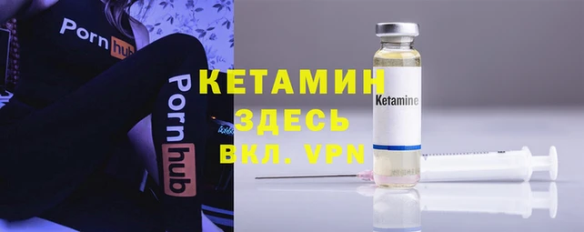 прущие грибы Бабаево
